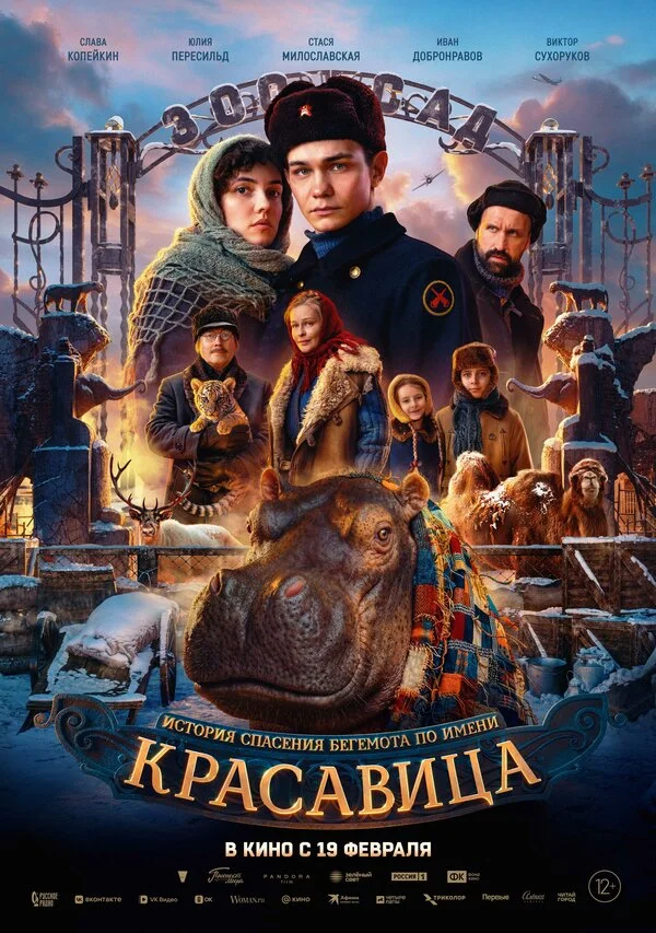 Красавица постер